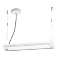 Ledvance - LED prigušiva viseće svetlo OFFICE LINE 2xLED/12,5W/230V