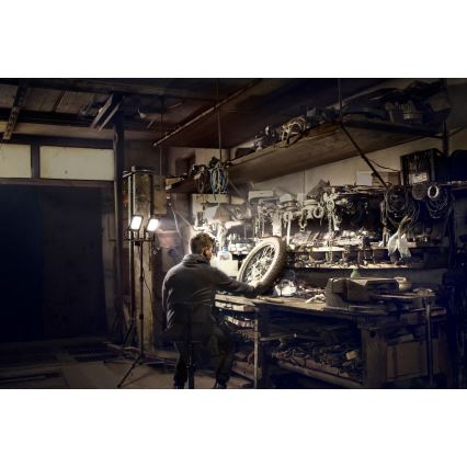 Ledvance - LED spoljašnji reflektor sa držačem WORKLIGHT TRIPOD 2xLED/30W/230V 6500K IP65