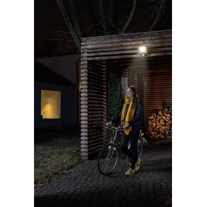Ledvance - LED reflektor sa senzorom ENDURA LED/50W/230V IP44
