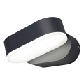 Ledvance - LED spoljašnje zidno svetlo ENDURA LED/8W/230V IP44