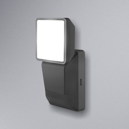 Ledvance - LED spoljašnje zidno svetlo sa senzorom SPOT LED/8W/230V IP55 crno