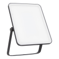 Ledvance - LED spoljašnji zidni reflektor FLOODLIGHT ESSENTIAL LED/30W/230V 4000K IP65
