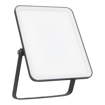 Ledvance - LED spoljašnji zidni reflektor FLOODLIGHT ESSENTIAL LED/30W/230V 4000K IP65