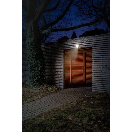 Ledvance - LED spoljašnji zidni reflektor sa senzorom FLOOD LED/27W/230V IP55