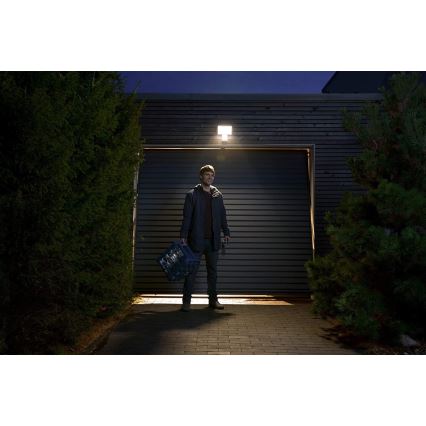 Ledvance - LED spoljašnji zidni reflektor sa senzorom FLOOD LED/27W/230V IP55