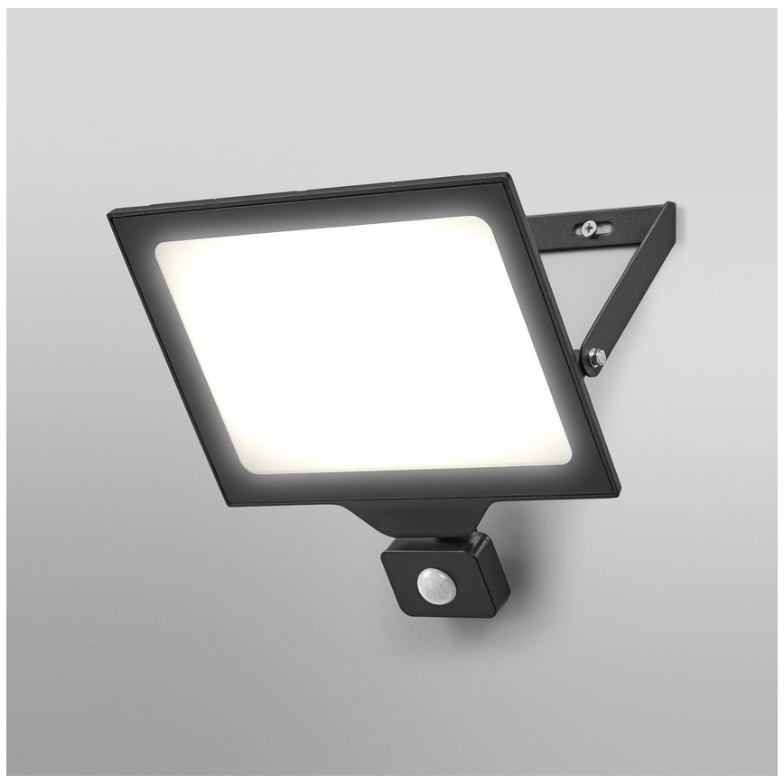 Ledvance - LED spoljni zidni reflektor sa senzorom FLOODLIGHT ESSENTIAL LED/100W/230V IP44