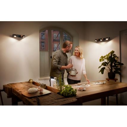 Ledvance - LED spot svetiljka DECOR PLUTO 2xLED/4,8W/230V