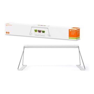 Ledvance - LED unutrašnja svetiljka za biljke GARDEN LIGHT LED/14W/230V