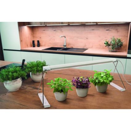 Ledvance - LED unutrašnja svetiljka za biljke GARDEN LIGHT LED/14W/230V