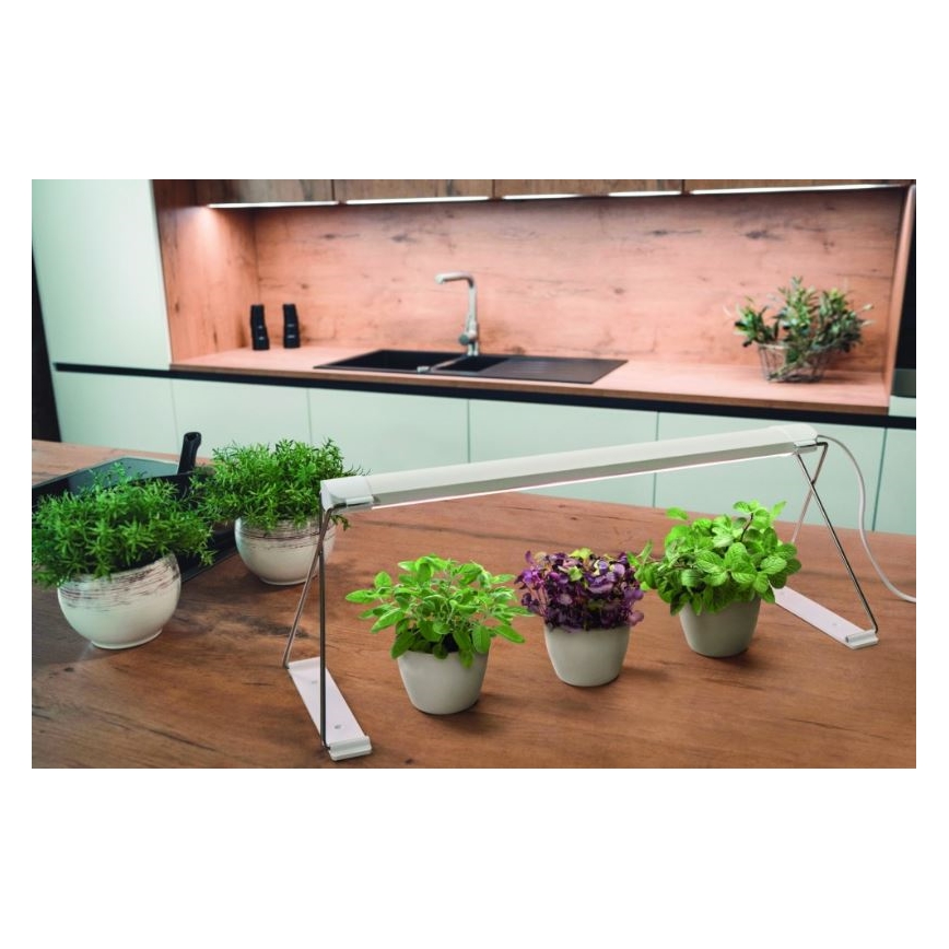 Ledvance - LED unutrašnja svetiljka za biljke GARDEN LIGHT LED/14W/230V