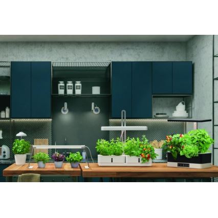 Ledvance - LED unutrašnja svetiljka za biljke GARDEN LIGHT LED/14W/230V