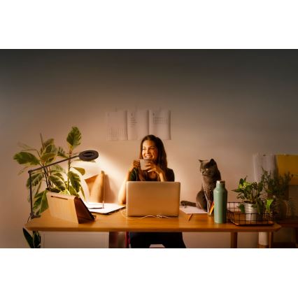 Ledvance - LED prigušiva lampa sa stezaljkom SUN@HOME LED/15W/230V 2200-5000K CRI 95 Wi-Fi