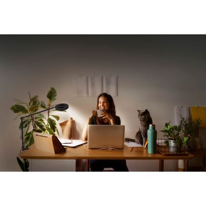 Ledvance - LED prigušiva lampa sa stezaljkom SUN@HOME LED/15W/230V 2200-5000K CRI 95 Wi-Fi