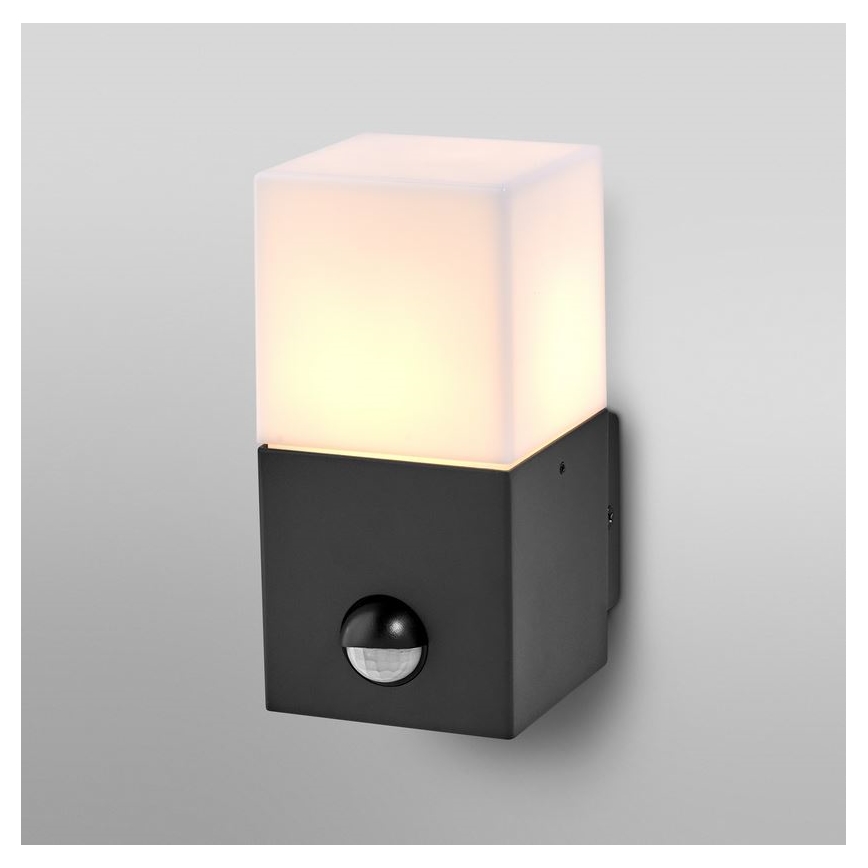 Ledvance - Spoljno zidno svetlo sa senzorom FIGO SQUARE 1xE27/20W/230V