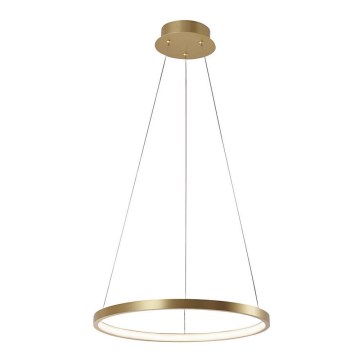 Leuchten Direkt 11522-12 - LED luster na sajli CIRCLE LED/19W/230V