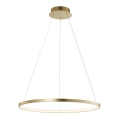 Leuchten Direkt 11524-12 - Viseći LED luster na sajli CIRCLE LED/28,5W/230V