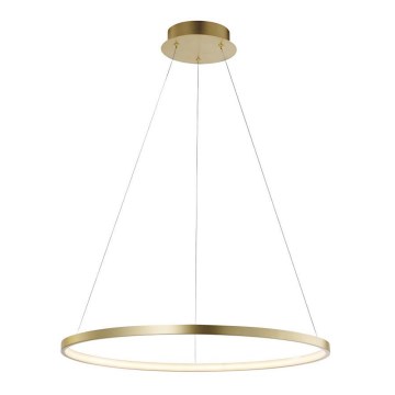 Leuchten Direkt 11524-12 - Viseći LED luster na sajli CIRCLE LED/28,5W/230V