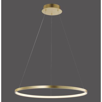 Leuchten Direkt 11524-12 - Viseći LED luster na sajli CIRCLE LED/28,5W/230V