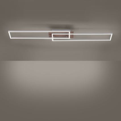 Leuchten Direkt 14019-78 - LED prigušiva stropna svetiljka IVEN 2xLED/20W/230V + daljinski upravljač