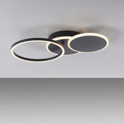 Leuchten Direkt 14116-18 - LED stropna svetiljka SEVENT LED/25,5W/230V crna