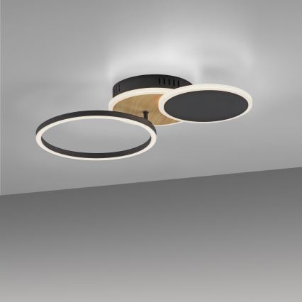 Leuchten Direkt 14116-78 - LED plafonsko svetlo SEVENT LED/25,5W/230V crna/braon