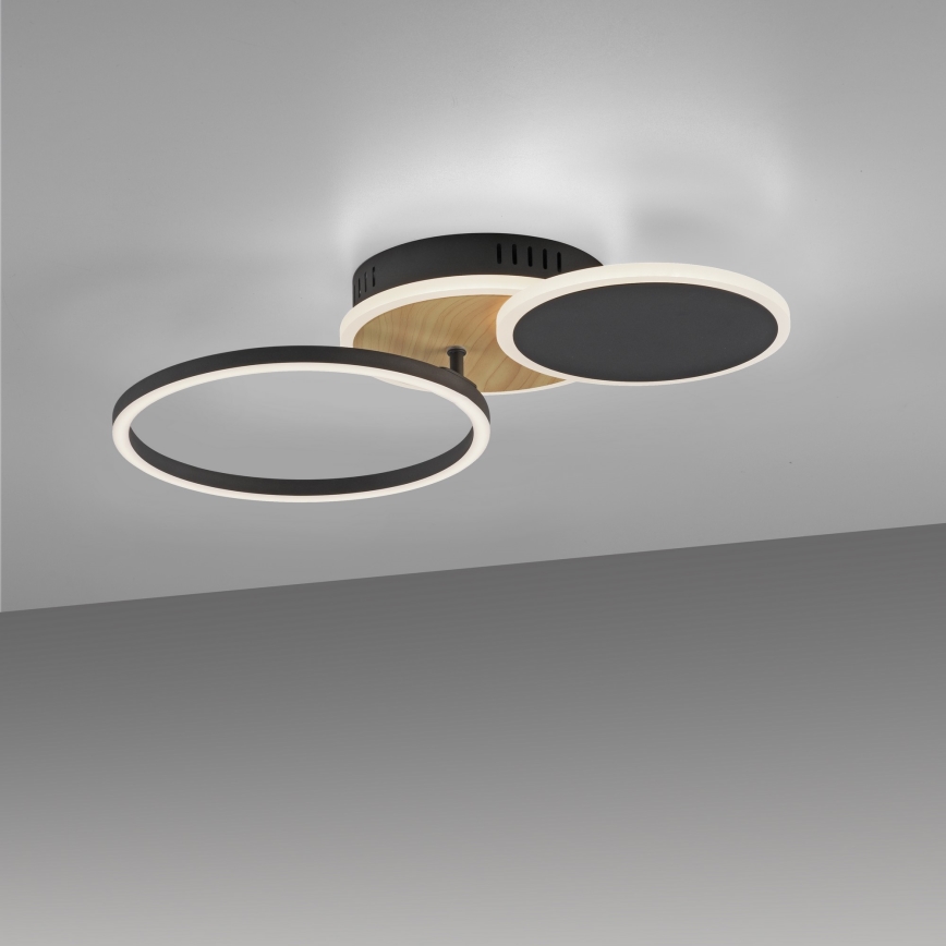 Leuchten Direkt 14116-78 - LED plafonsko svetlo SEVENT LED/25,5W/230V crna/braon