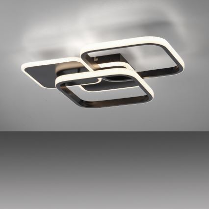 Leuchten Direkt 14117-18 - LED plafonsko svetlo SEVENT LED/36W/230V crna