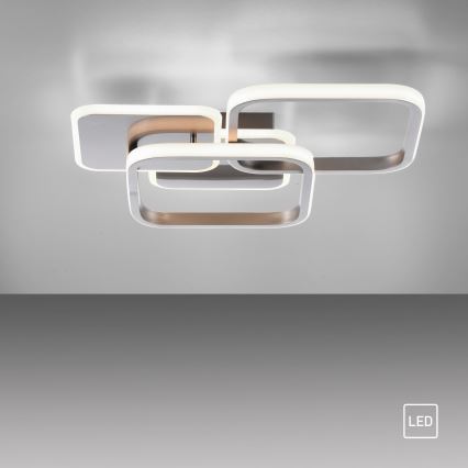 Leuchten Direkt 14117-55 - LED plafonsko svetlo LED/36W/230V mat hrom