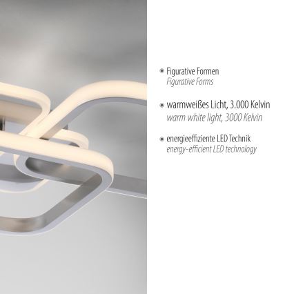Leuchten Direkt 14117-55 - LED plafonsko svetlo LED/36W/230V mat hrom