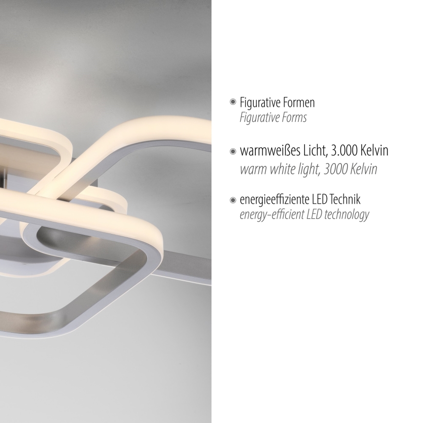 Leuchten Direkt 14117-55 - LED plafonsko svetlo LED/36W/230V mat hrom
