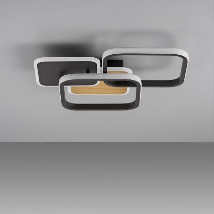 Leuchten Direkt 14117-78 - LED plafonsko svetlo SEVENT LED/36W/230V crna/smeđa