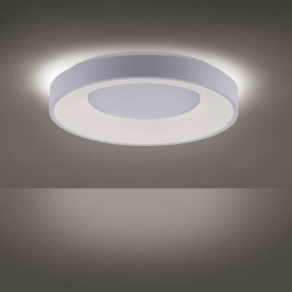 Leuchten Direkt 14326-16 - LED prigušiva plafonska svetiljka ANIKA LED/30W/230V + daljinsko upravljanje