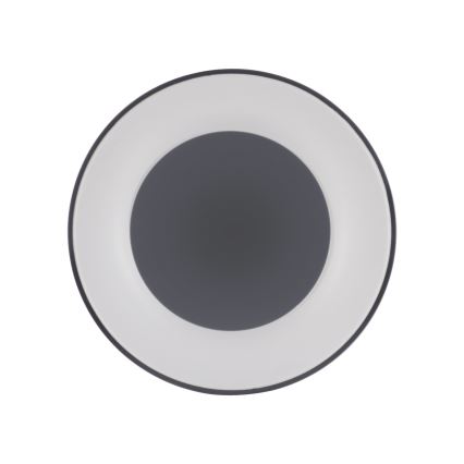 Leuchten Direkt 14326-18 - LED prigušiva plafonska svetiljka ANIKA LED/30W/230V + daljinski upravljač