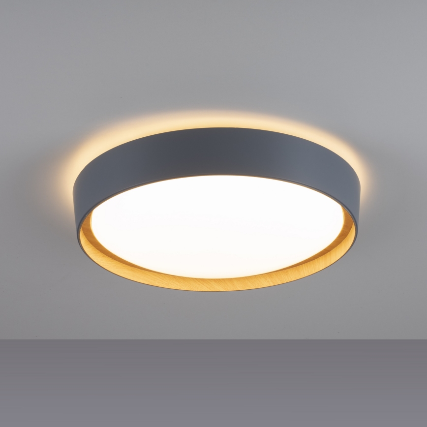 Leuchten Direkt 14347-15 - LED prigušiva stropno svetlo EMILIA LED/28,8W/230V siva