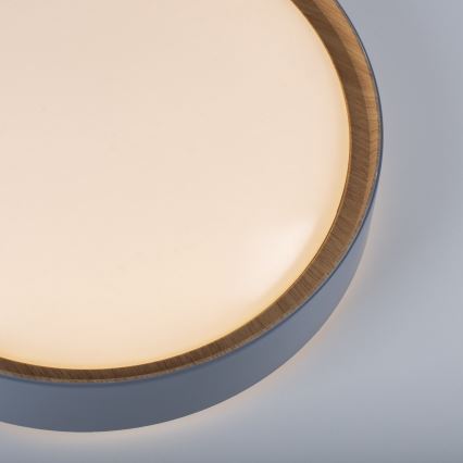 Leuchten Direkt 14347-15 - LED prigušiva stropno svetlo EMILIA LED/28,8W/230V siva