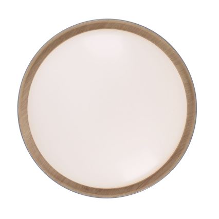 Leuchten Direkt 14347-15 - LED prigušiva stropno svetlo EMILIA LED/28,8W/230V siva