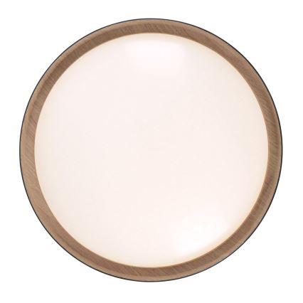 Leuchten Direkt 14347-18 - LED prigušiva svetiljka EMILIA LED/28,8W/230V crna