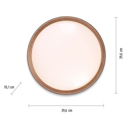 Leuchten Direkt 14347-18 - LED prigušiva svetiljka EMILIA LED/28,8W/230V crna