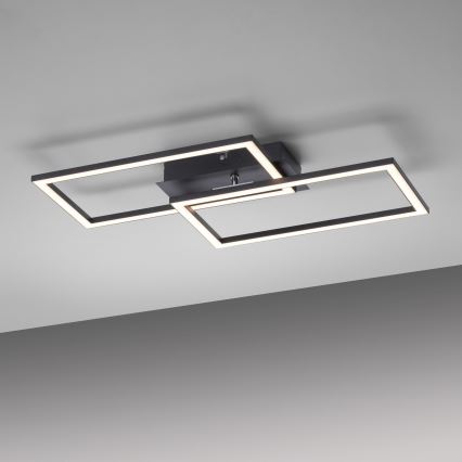 Leuchten Direkt 14692-18 - LED prigušiva plafonska svetiljka IVEN LED/36W/230V