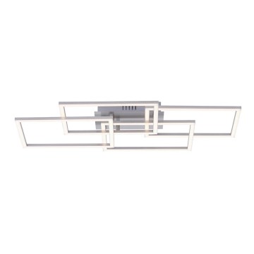Leuchten Direkt 14791-55 - LED prigušiva plafonska lampa IVEN 4xLED/9W/230V