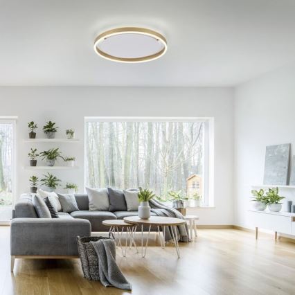 Leuchten Direkt 15391-60 - prigušiva LED stropna svetiljka RITUS LED/20W/230V mesing