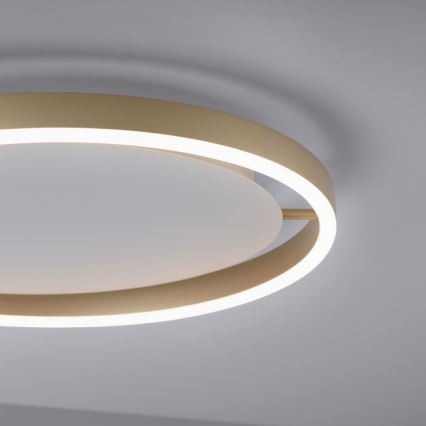 Leuchten Direkt 15391-60 - prigušiva LED stropna svetiljka RITUS LED/20W/230V mesing