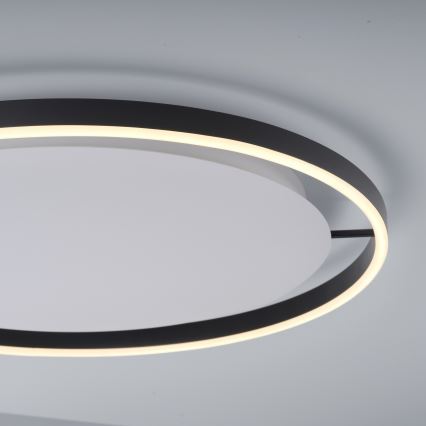 Leuchten Direkt 15392-13 - LED prigušiva plafonska svetiljka RITUS LED/30W/230V crna