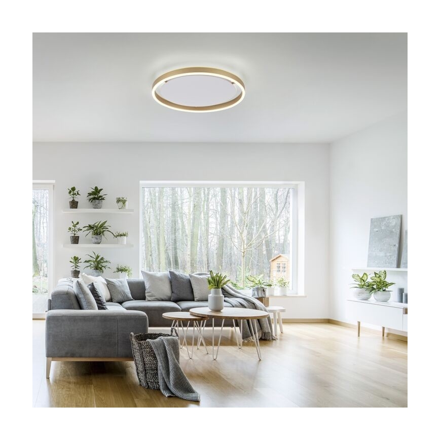 Leuchten Direkt 15392-60 - Prigušiva plafonska LED svetiljka RITUS LED/30W/230V mesing