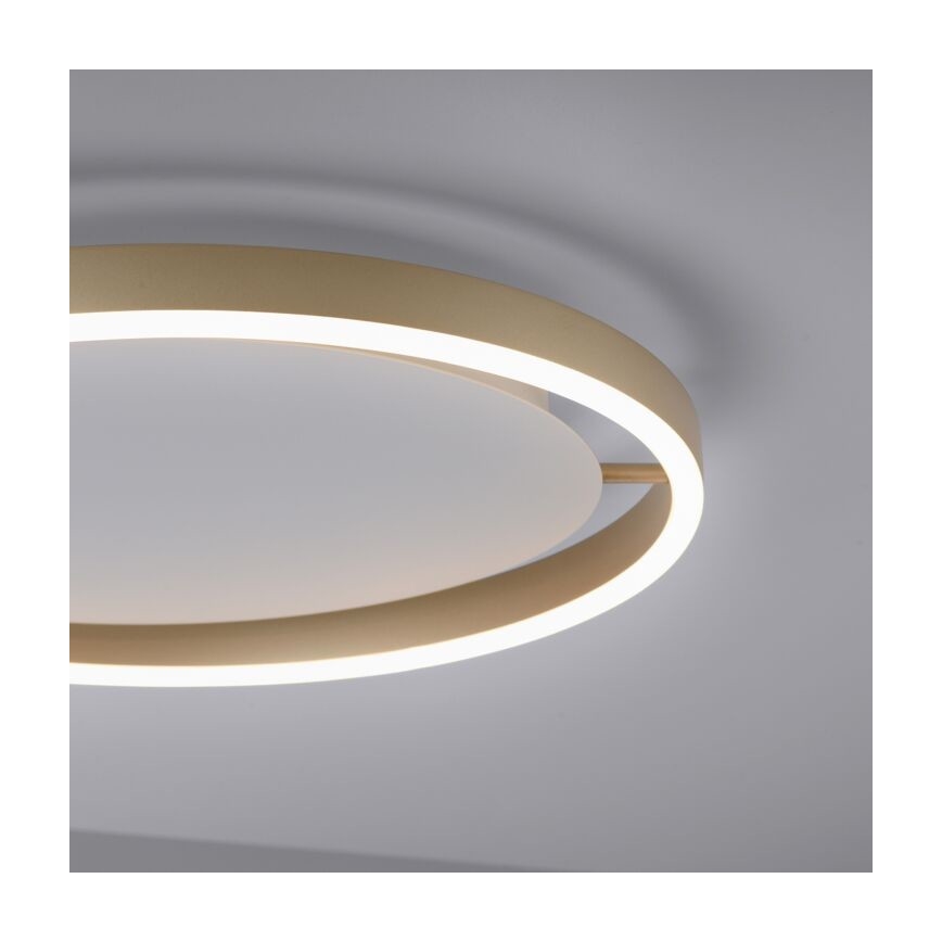 Leuchten Direkt 15392-60 - Prigušiva plafonska LED svetiljka RITUS LED/30W/230V mesing
