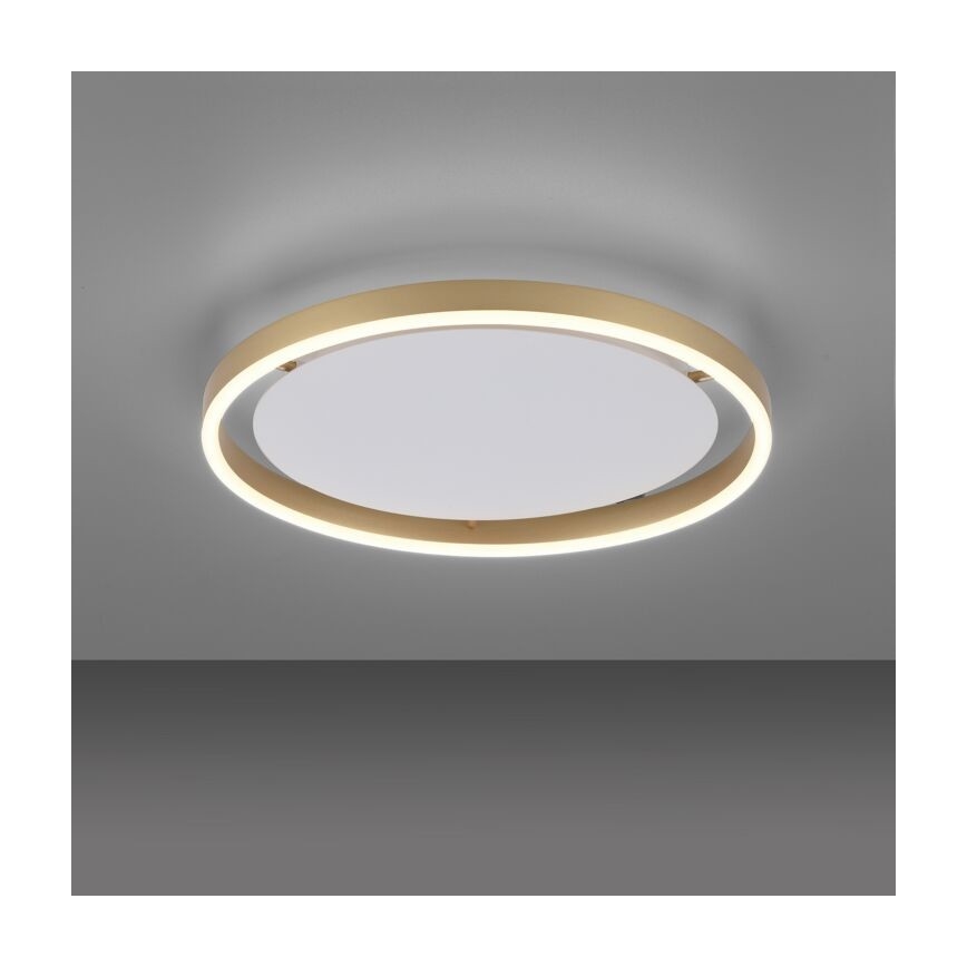 Leuchten Direkt 15392-60 - Prigušiva plafonska LED svetiljka RITUS LED/30W/230V mesing