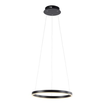 Leuchten Direkt 15393-13 - LED prigušiva luster na sajli RITUS LED/20W/230V crna