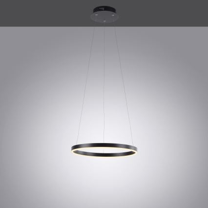 Leuchten Direkt 15393-13 - LED prigušiva luster na sajli RITUS LED/20W/230V crna