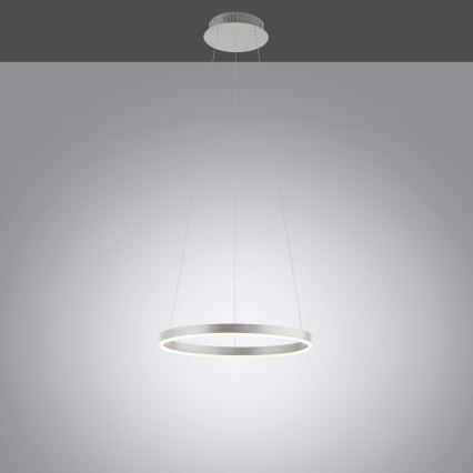 Leuchten Direkt 15393-95 - LED luster na sajli RITUS LED/20W/230V, mat hrom, sa prigušiva