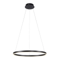 Leuchten Direkt 15394-13 - LED prigušiva viseći luster na sajli RITUS LED/30W/230V crna